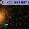 Cl* NGC 1978    WBT     162