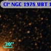 Cl* NGC 1978    WBT     163