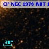 Cl* NGC 1978    WBT     166