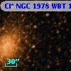 Cl* NGC 1978    WBT     167