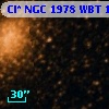 Cl* NGC 1978    WBT     169