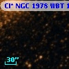 Cl* NGC 1978    WBT     172