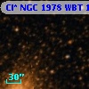 Cl* NGC 1978    WBT     173