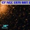 Cl* NGC 1978    WBT     174