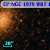 Cl* NGC 1978    WBT     184