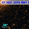 Cl* NGC 1978    WBT     185