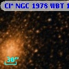 Cl* NGC 1978    WBT     188