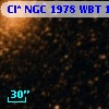 Cl* NGC 1978    WBT     189