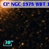 Cl* NGC 1978    WBT     192