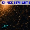 Cl* NGC 1978    WBT     196