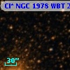 Cl* NGC 1978    WBT     208