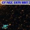 Cl* NGC 1978    WBT     209