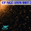 Cl* NGC 1978    WBT     215
