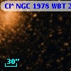 Cl* NGC 1978    WBT     216