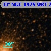 Cl* NGC 1978    WBT     217