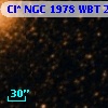 Cl* NGC 1978    WBT     219