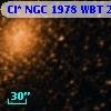 Cl* NGC 1978    WBT     223