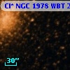 Cl* NGC 1978    WBT     224