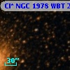Cl* NGC 1978    WBT     230
