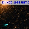Cl* NGC 1978    WBT     231