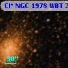 Cl* NGC 1978    WBT     233
