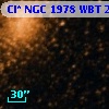 Cl* NGC 1978    WBT     236