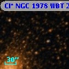 Cl* NGC 1978    WBT     237