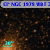 Cl* NGC 1978    WBT     238