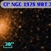 Cl* NGC 1978    WBT     239