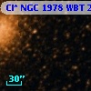 Cl* NGC 1978    WBT     240