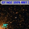 Cl* NGC 1978    WBT     241