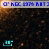 Cl* NGC 1978    WBT     243
