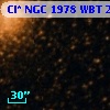Cl* NGC 1978    WBT     244