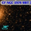 Cl* NGC 1978    WBT     245
