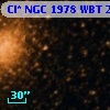 Cl* NGC 1978    WBT     246