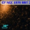 Cl* NGC 1978    WBT     247