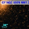 Cl* NGC 1978    WBT     249
