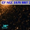 Cl* NGC 1978    WBT     250