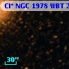 Cl* NGC 1978    WBT     251