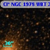 Cl* NGC 1978    WBT     254