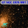 Cl* NGC 1978    WBT     255