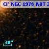 Cl* NGC 1978    WBT     256