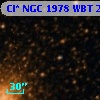 Cl* NGC 1978    WBT     261