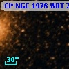 Cl* NGC 1978    WBT     265