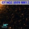 Cl* NGC 1978    WBT     270