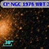 Cl* NGC 1978    WBT     271