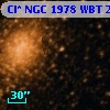 Cl* NGC 1978    WBT     275