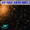 Cl* NGC 1978    WBT     276