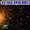 Cl* NGC 1978    WBT     277