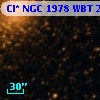 Cl* NGC 1978    WBT     284